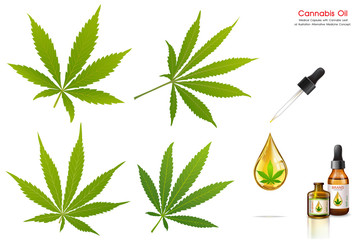 Marijuana plant and cannabis oil bottles vector.