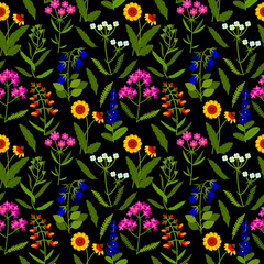 Vector seamless pattern with meadow flowers on black background. Summer design. Wild field flowers pattern.