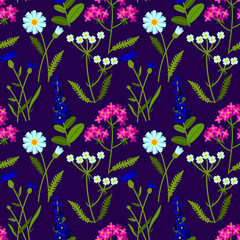 Fototapeta na wymiar Vector seamless pattern with meadow flowers on violet background. Summer design. Wild field flowers pattern.