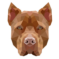 Pitbull | Low-poly Art