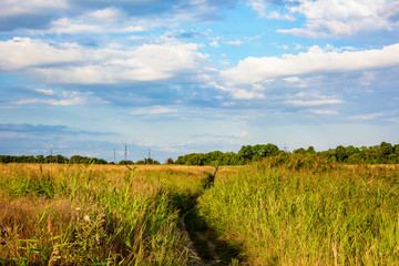 Fototapeta na wymiar Path in the steppe near Donetsk