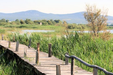 Fototapeta na wymiar Lake Vrana near Zadar, Croatia