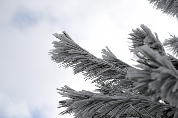 雪景色