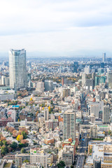 Naklejka premium urban city skyline aerial view in Tokyo, Japan