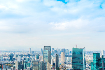 urban city skyline aerial view in Tokyo, Japan