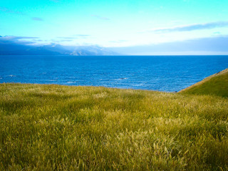 Fototapeta na wymiar The blue ocean and the green grass of New Zealand