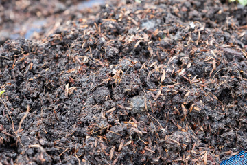 Soil and fertilizer preparing in plot