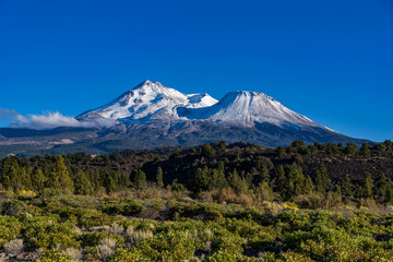 Mt. Shasta