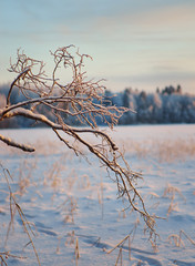 Fototapeta na wymiar Winter Beautiful Christmas landscape