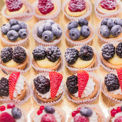 Pastry shop display window with variety of mini desserts and cakes, selective focus