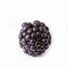 Large fresh BlackBerry isolated on white background.