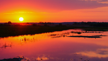 A beautiful spring sunrise in the wetlands. Biebrza. Poland