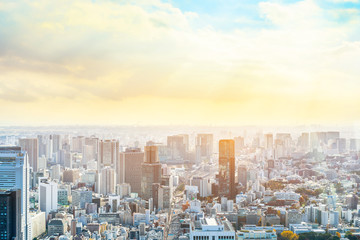 urban city skyline aerial view in Tokyo, Japan