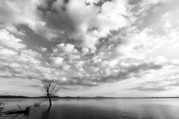 Beautiful wide angle view of a lake with an huge sky with clouds, above skeletal trees