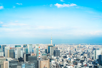 Fototapeta premium urban city skyline aerial view in Tokyo, Japan