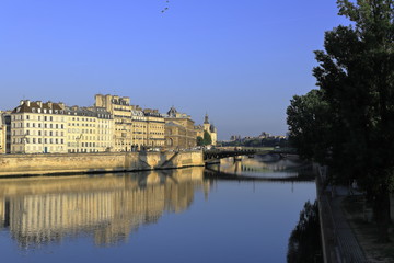 Fototapeta premium notre dame in paris