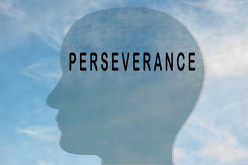 PERSEVERANCE - personality concept