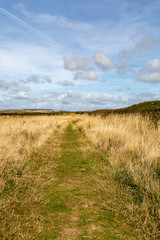 Fototapeta premium A pathway through the countryside, on the Isle of Wight