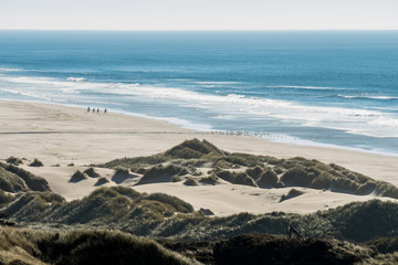 Group of riders on their horses and a flock of birds on a beach