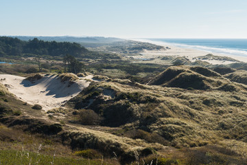 The beach and the coastline from a curve of Highway 101 off the coast of Oregon