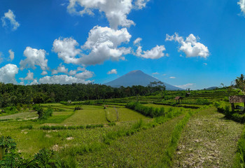 Fototapeta na wymiar Bright blue sky landscape of Balinese rice terraces and Agung volcano
