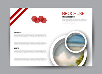 Flyer, brochure, billboard template design landscape orientation for business, education, school, presentation, website. Red color. Editable vector illustration.