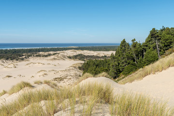 Fototapeta na wymiar The sand and coastline from a high point of view over the Oregon dunes