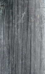 Dark brown wood background, wood panel.