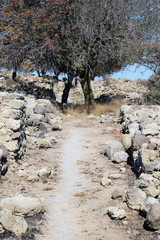 Weg zwischen Bäumen