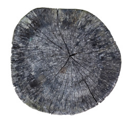 Old wooden stump isolated on the white background. With clipping path.