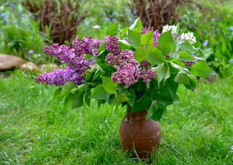 Clay pitcher with lilac flowers in the meadow