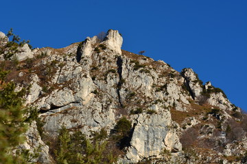 prealpi