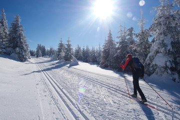 Skifahrer Langlauf läuft auf Skiloipe in der Sonne