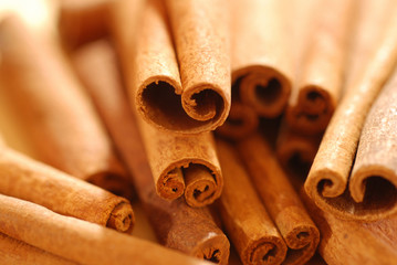 Cannelle de Ceylan