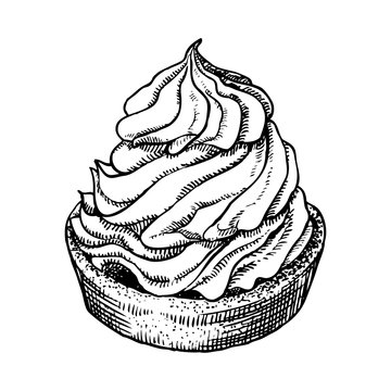 Delicious hand drawn creamy biscuit. Engraving style pen pencil painting retro vintage vector lineart illustration. Sweet dessert.