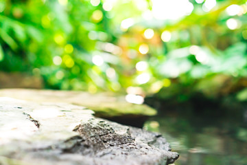 Blur closed up green leaf background.