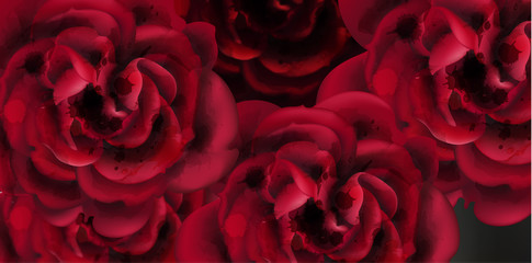 Red roses watercolor background template Vector. Invitation card, Valentine, wedding ceremony, delicate postcard, Women day greeting card. Beautiful colors