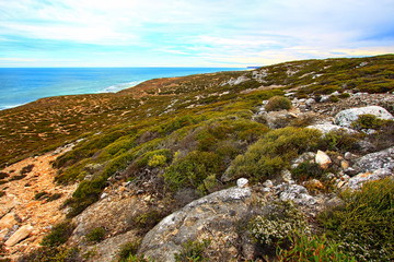 Fototapeta na wymiar Australian southern coastline