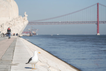 Monument of navigators in Lisbon