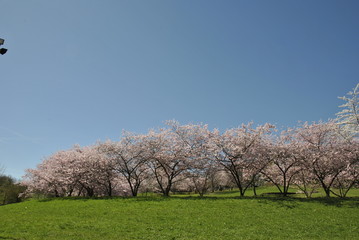Fototapeta premium böblingen darmsheim eibachgrund