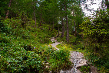 Alpen
