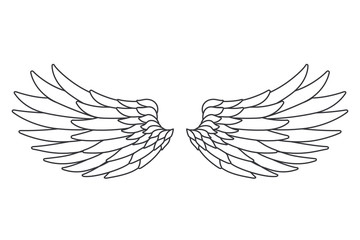 Obraz premium Line art white bird angel fly wings design isolated vector illustration
