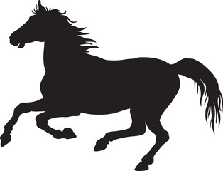 Obraz na płótnie Canvas Horse silhouette