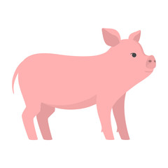 Cute pig. Farm domestic animal with a piglet