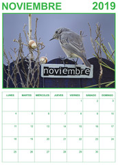 November 2019 calendar on spanish with a bird perched on a November decorated fence, portrait orientation