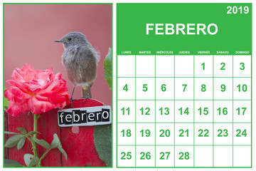 February 2019 calendar on spanish with a bird perched on a February decorated fence, landscape orientation