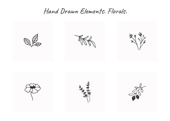 Vector set of floral hand drawn elements in elegant and minimal style.