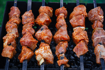 barbecue of pork is prepared on skewers on the grill