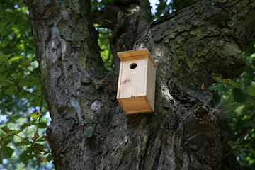 A house for birds and bats in the park.