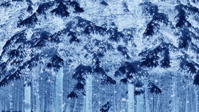Forest trees covered snow at night in winter. Fantastic Fairytale Magical Landscape. Christmas Winter New Year Scenery. Snowfall falling snowflakes blizzard snowstorm. Seamless loop backdrop